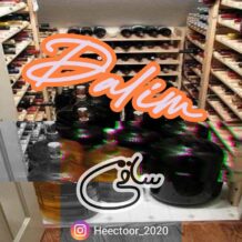 دانلود آهنگ جدید دالیم به نام ساقی